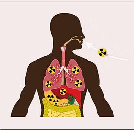 Screen Shot 2023-08-28 at 10.56.13 PM.png